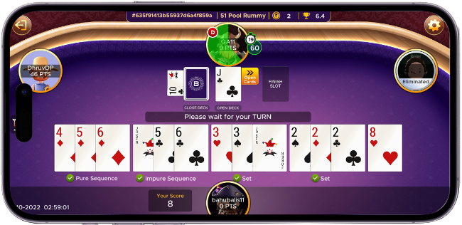 ludo game play